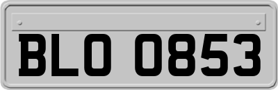 BLO0853
