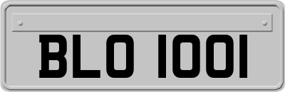 BLO1001