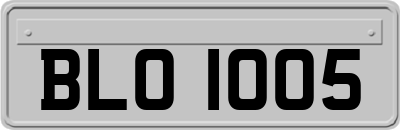 BLO1005