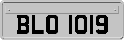 BLO1019