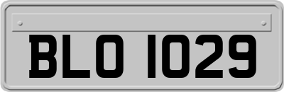 BLO1029