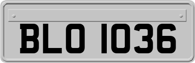 BLO1036