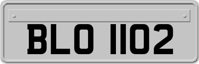 BLO1102