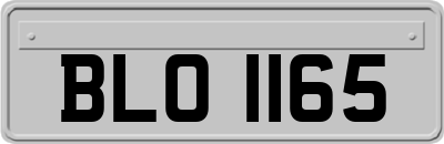 BLO1165