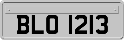 BLO1213