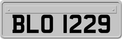 BLO1229
