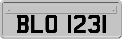 BLO1231