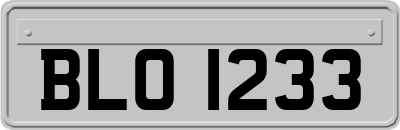 BLO1233