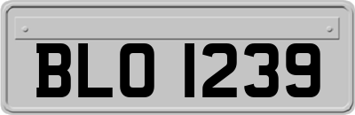 BLO1239