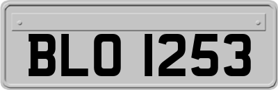 BLO1253