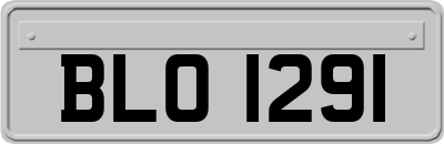 BLO1291