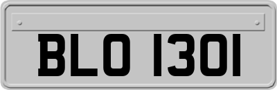 BLO1301