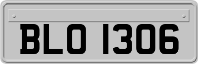 BLO1306