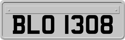 BLO1308