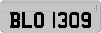 BLO1309