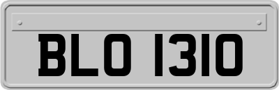 BLO1310