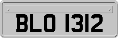BLO1312