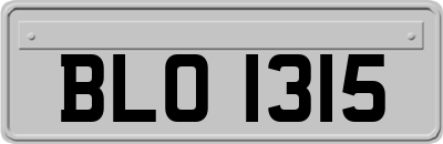 BLO1315