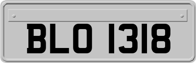 BLO1318