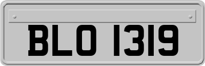 BLO1319