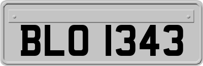 BLO1343