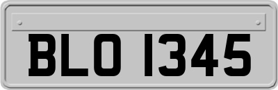BLO1345