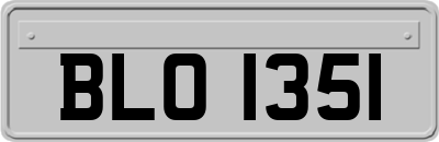 BLO1351