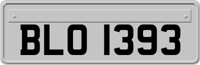 BLO1393