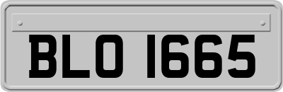 BLO1665
