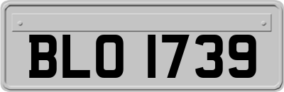 BLO1739