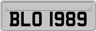 BLO1989