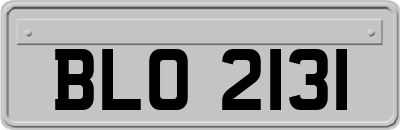 BLO2131
