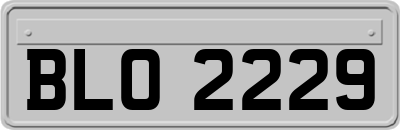 BLO2229