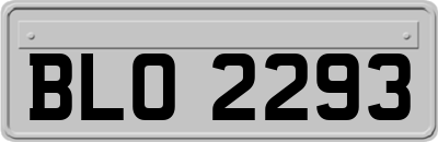 BLO2293
