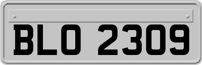 BLO2309