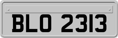 BLO2313