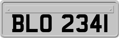 BLO2341