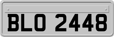 BLO2448