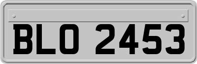 BLO2453