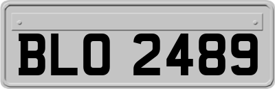 BLO2489