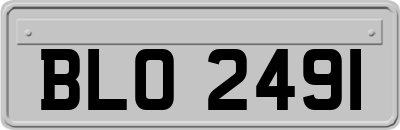 BLO2491