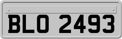 BLO2493