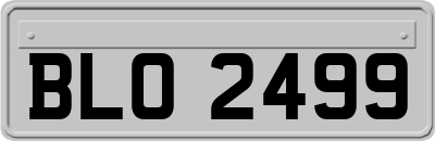 BLO2499