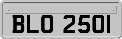 BLO2501