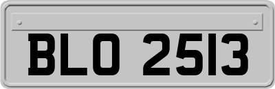 BLO2513
