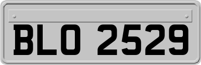 BLO2529