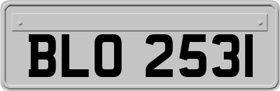 BLO2531