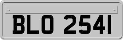 BLO2541