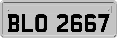 BLO2667