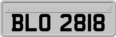 BLO2818